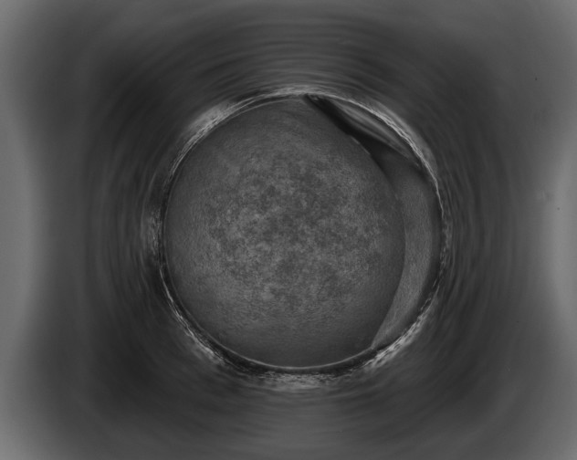 X0000085770993200703231219