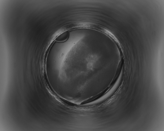 X0000085770994200703231219