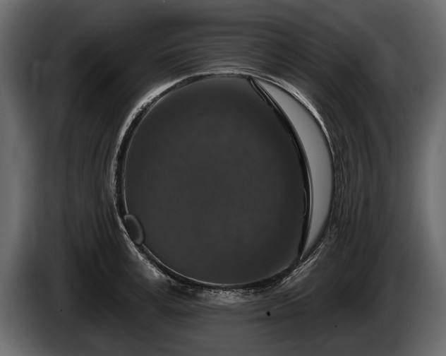 X0000085770995200703231219