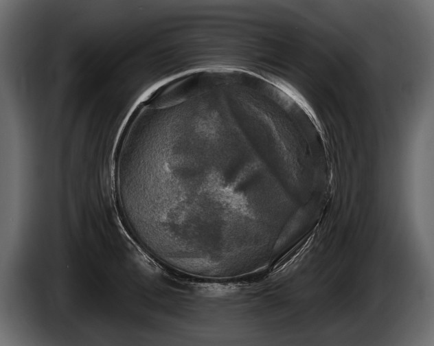 X0000085770996200703231219