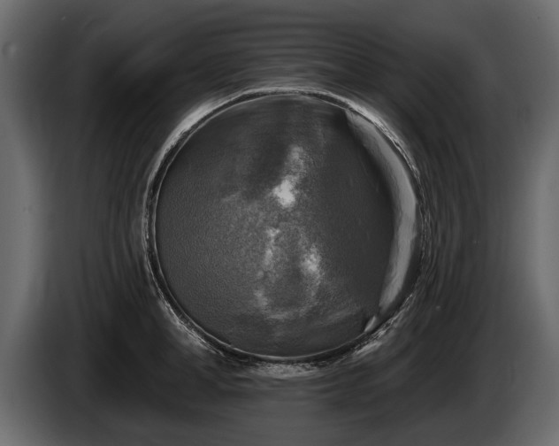 X0000085770998200703231219