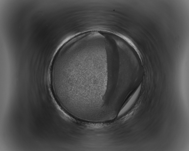 X0000085770999200703231219