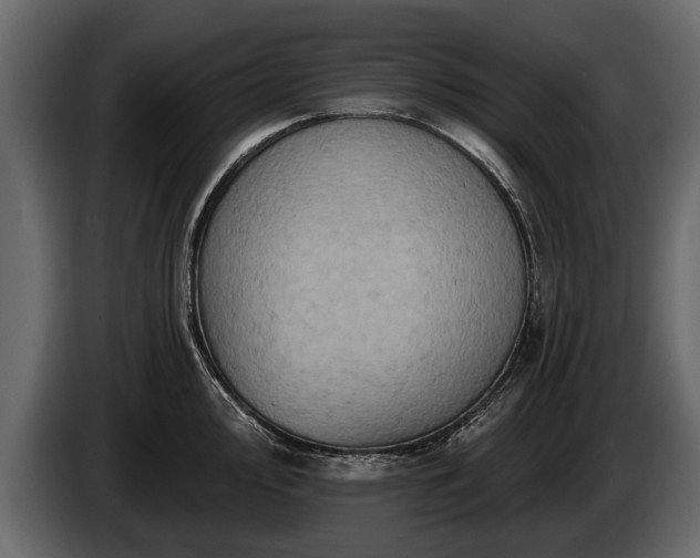 X0000085771000200703231219