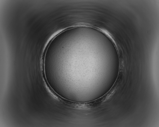 X0000085771003200703231219