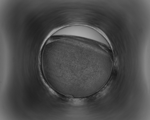 X0000085771005200703231219