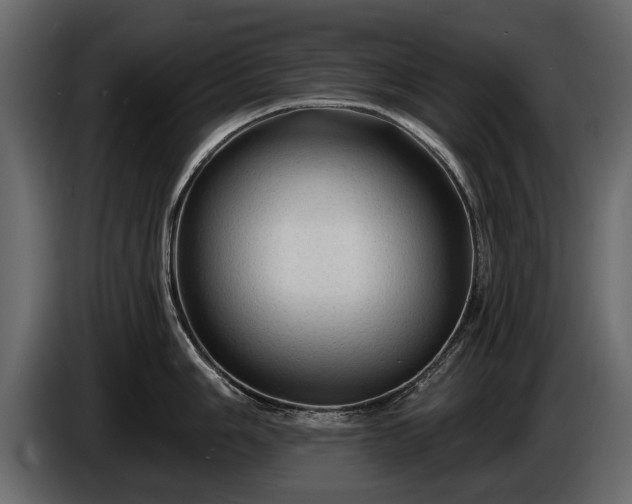 X0000085771006200703231219