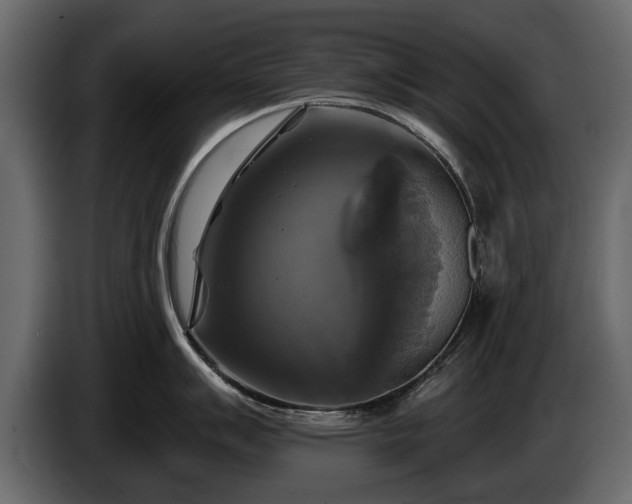 X0000085771007200703231219