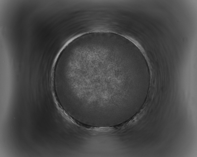 X0000085771008200703231219