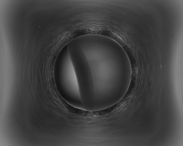 X0000085771009200703231218