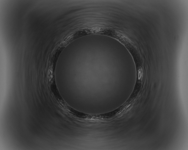 X0000085771011200703231218