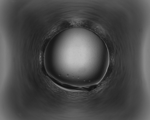 X0000085771012200703231218