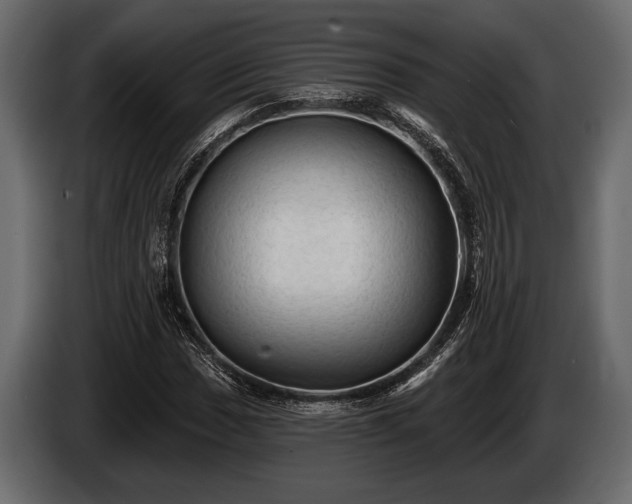 X0000085771017200703231218