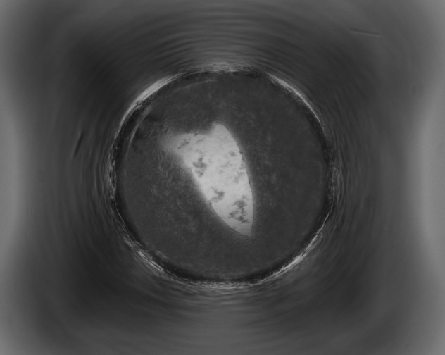 X0000085771018200703231218