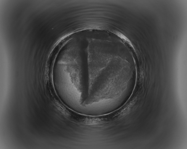 X0000085771019200703231218