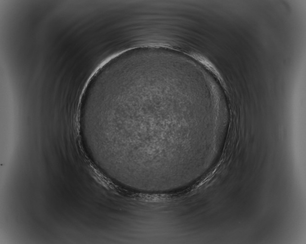 X0000085771020200703231218