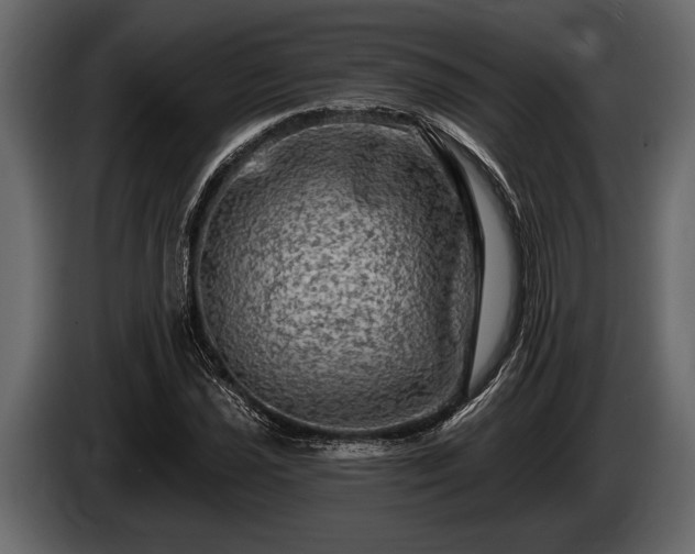 X0000085771021200703231218