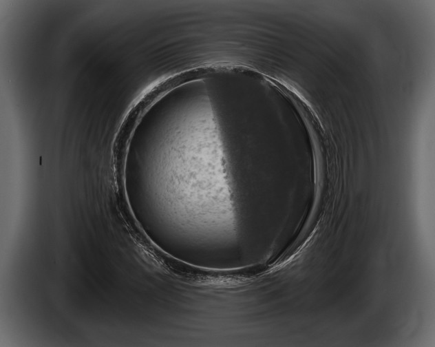 X0000085771022200703231219