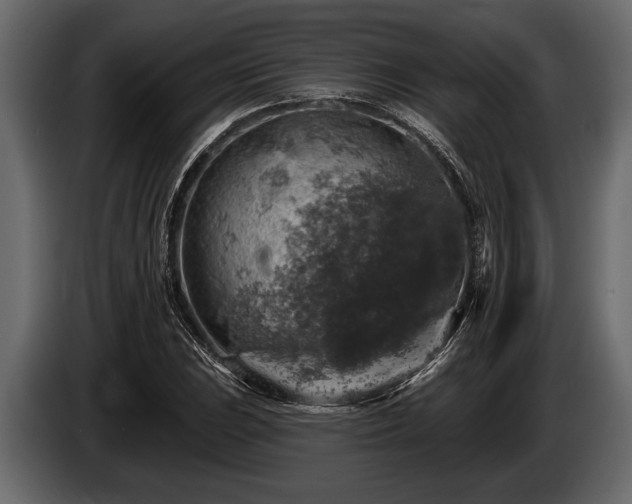 X0000085771023200703231219