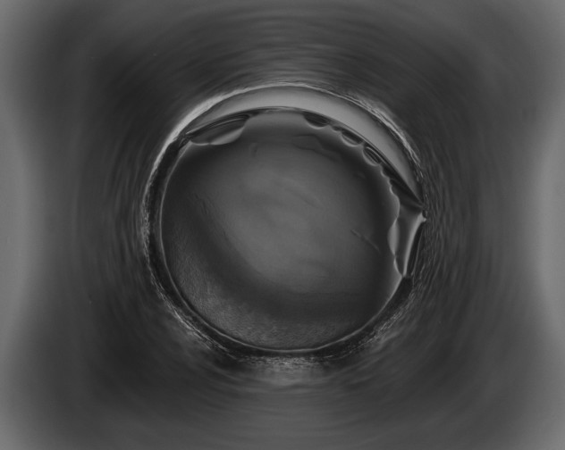 X0000085771024200703231219