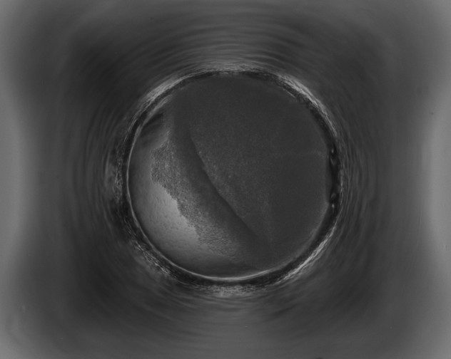 X0000085771025200703231219