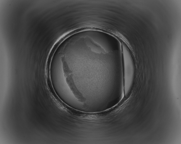 X0000085771028200703231219