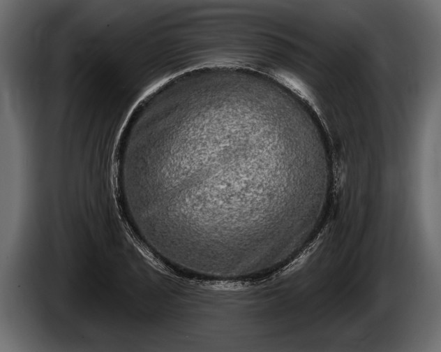 X0000085771029200703231219