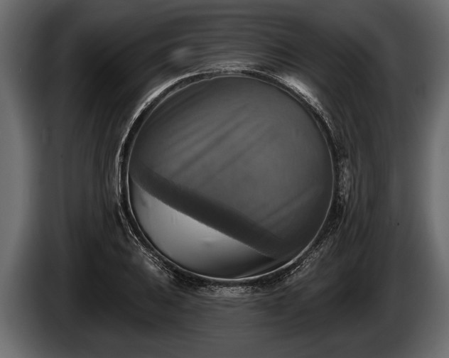 X0000085771031200703231219