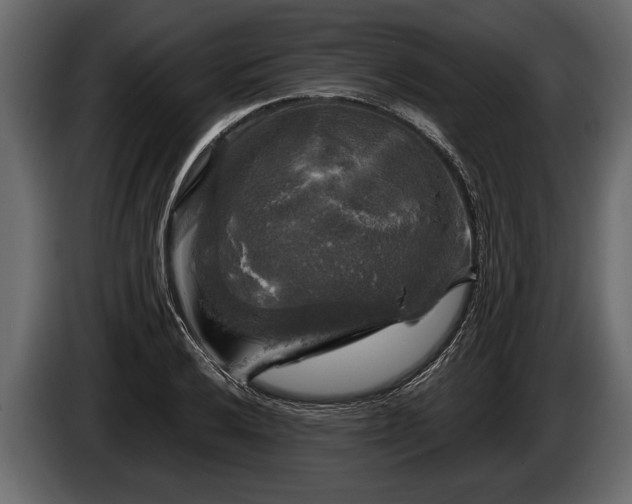 X0000085771032200703231219