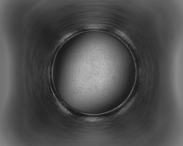 X0000085771033200703231219