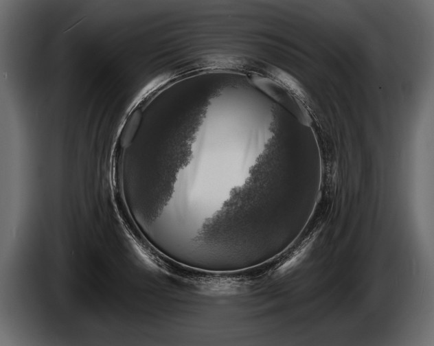 X0000085771034200703231219