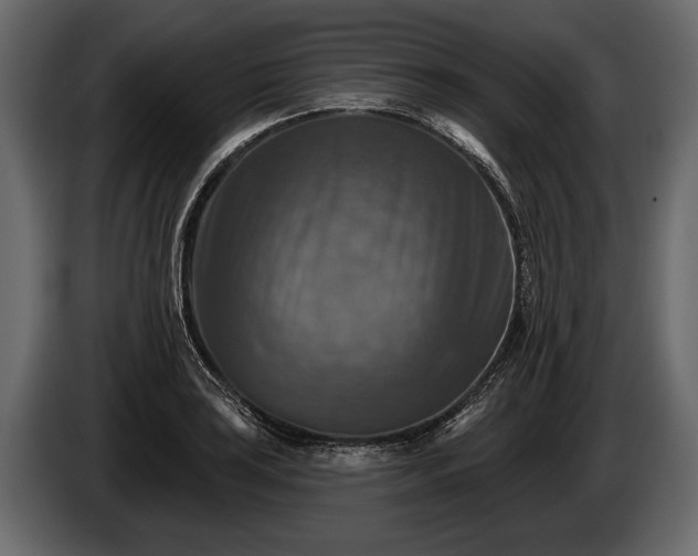 X0000085771035200703231219