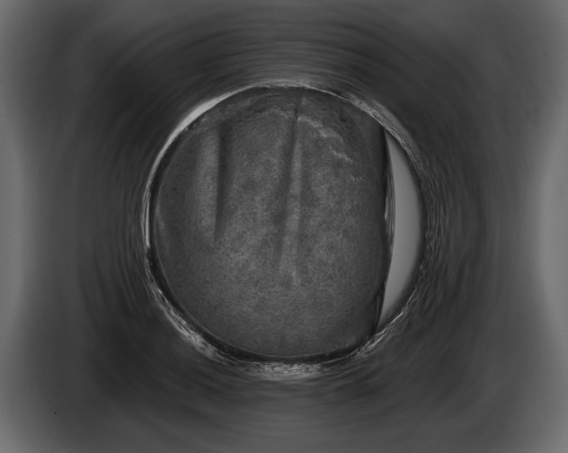 X0000085771036200703231219