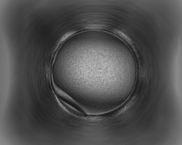 X0000085771041200703231219