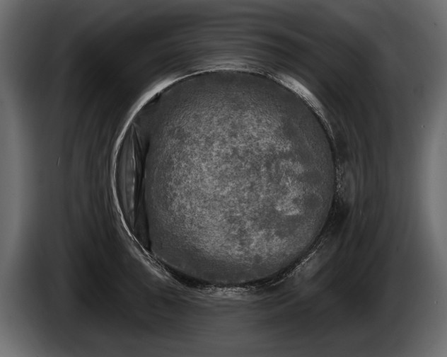 X0000085771043200703231219