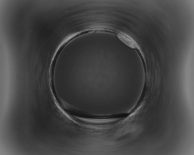 X0000085771045200703231219