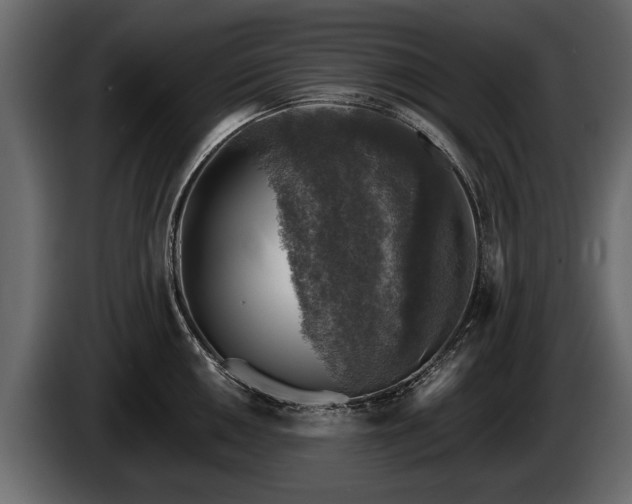 X0000085771050200703231219