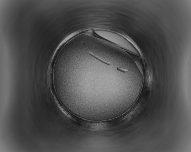 X0000085771053200703231219