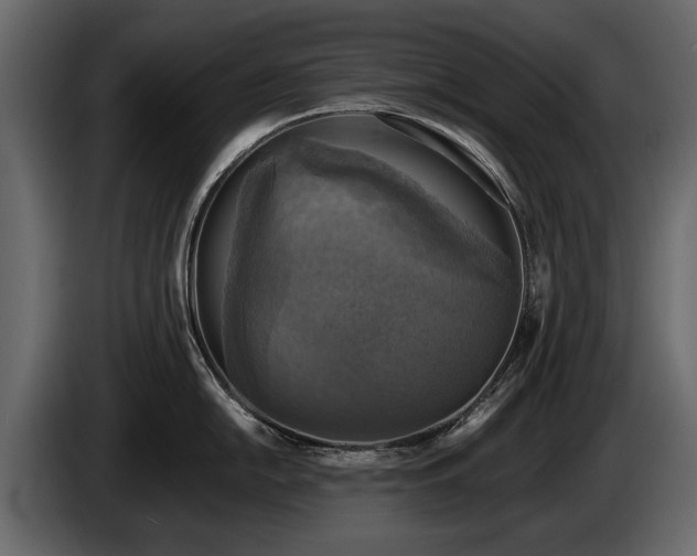 X0000085771054200703231219