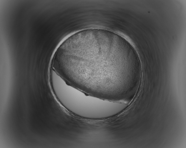 X0000085771056200703231219