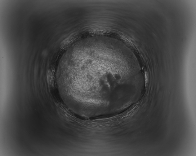 X0000085771059200703231218