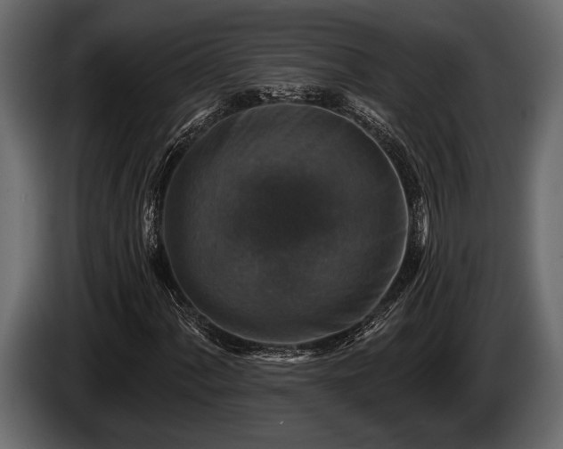 X0000085771060200703231218