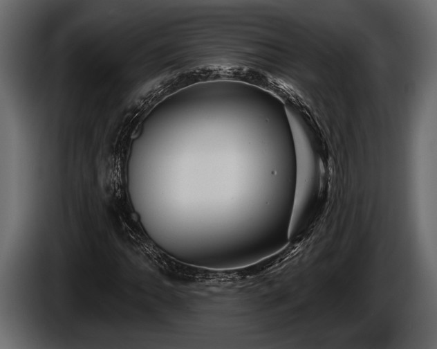 X0000085771062200703231218