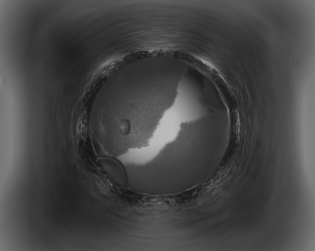 X0000085771063200703231218