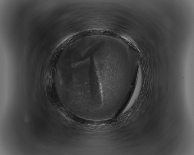 X0000085771064200703231218