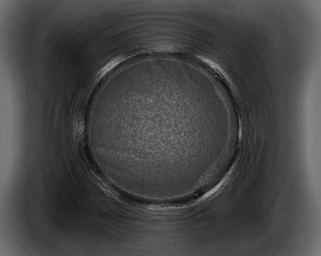 X0000085771065200703231218