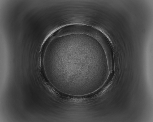 X0000085771069200703231218