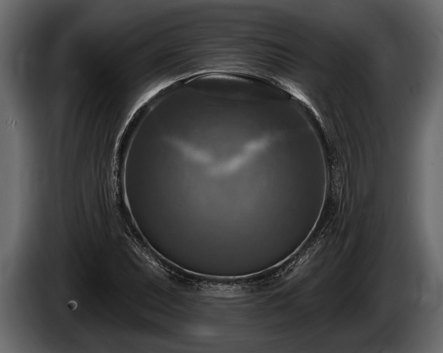 X0000085771071200703231218