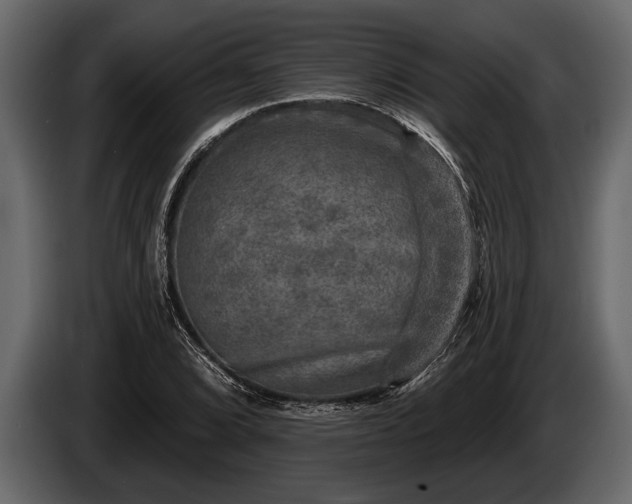 X0000085771072200703231218