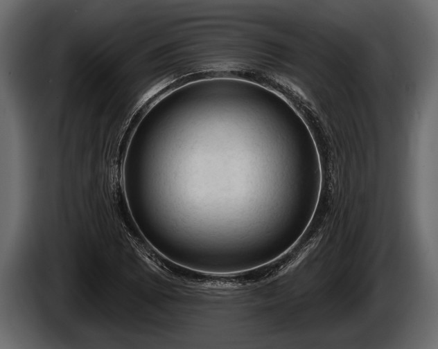 X0000085771073200703231218