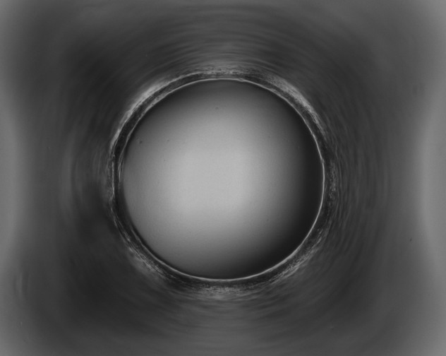 X0000085771075200703231218